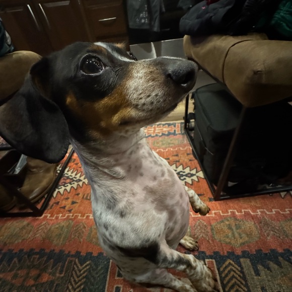 Meet your Posher, Justin - Picture 1 of 1